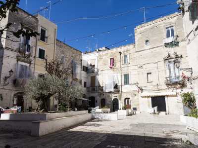 Il nostro viaggio tra le piazze di Bari Vecchia termina nel vicino e variopinto Largo Albicocca, recentemente abbellito e restituito ai cittadini baresi con la romantica qualifica di �piazza degli innamorati�
